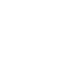 Experienced Team